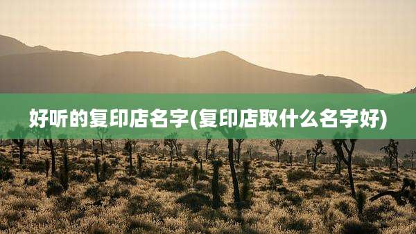 好听的复印店名字(复印店取什么名字好)