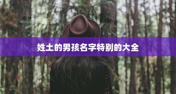 姓土的男孩名字特别的大全