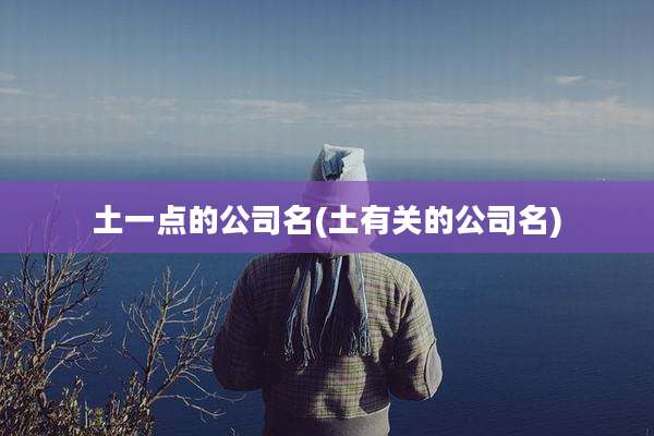 土一点的公司名(土有关的公司名)