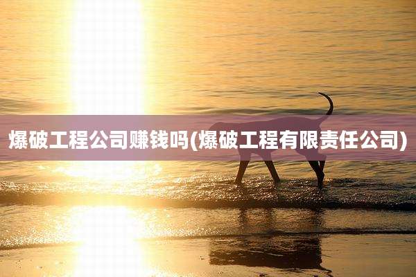 爆破工程公司赚钱吗(爆破工程有限责任公司)