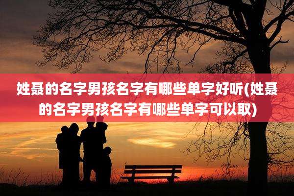 姓聂的名字男孩名字有哪些单字好听(姓聂的名字男孩名字有哪些单字可以取)