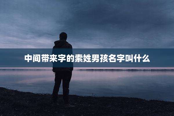 中间带来字的索姓男孩名字叫什么