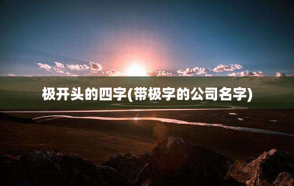 极开头的四字(带极字的公司名字)