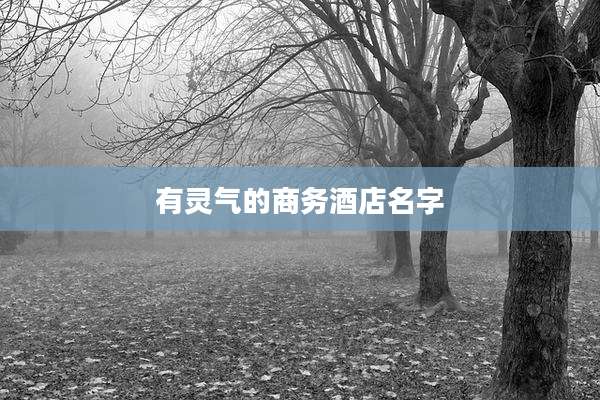 有灵气的商务酒店名字