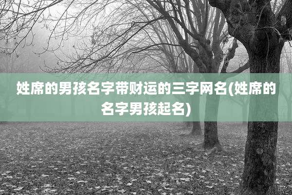 姓席的男孩名字带财运的三字网名(姓席的名字男孩起名)