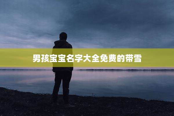 男孩宝宝名字大全免费的带雪