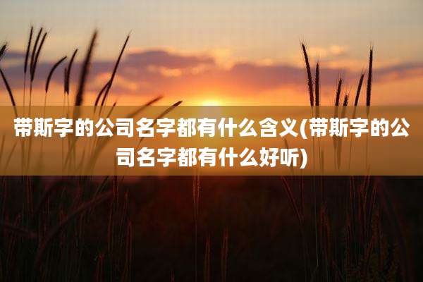 带斯字的公司名字都有什么含义(带斯字的公司名字都有什么好听)