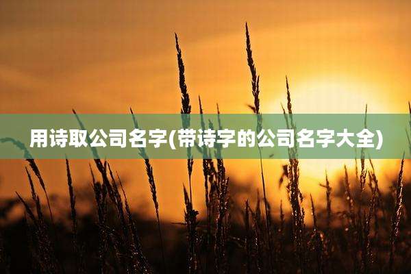 用诗取公司名字(带诗字的公司名字大全)