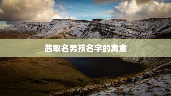 茜取名男孩名字的寓意