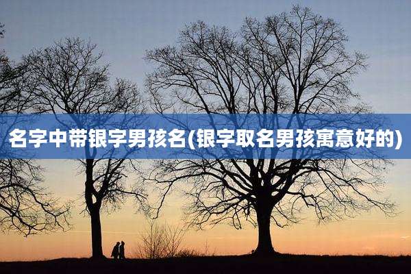 名字中带银字男孩名(银字取名男孩寓意好的)