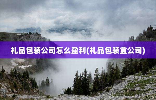 礼品包装公司怎么盈利(礼品包装盒公司)