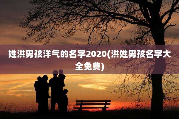 姓洪男孩洋气的名字2020(洪姓男孩名字大全免费)