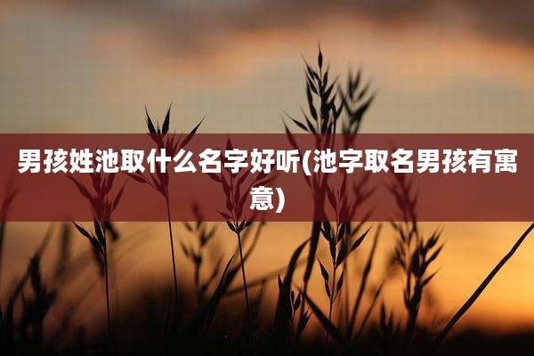 男孩姓池取什么名字好听(池字取名男孩有寓意)