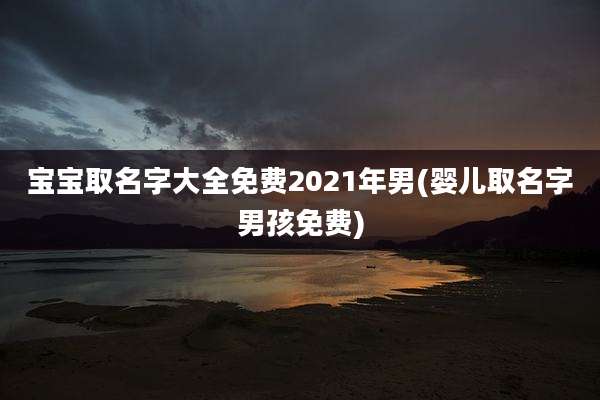 宝宝取名字大全免费2021年男(婴儿取名字男孩免费)