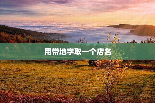 用带地字取一个店名