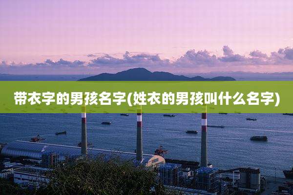 带衣字的男孩名字(姓衣的男孩叫什么名字)