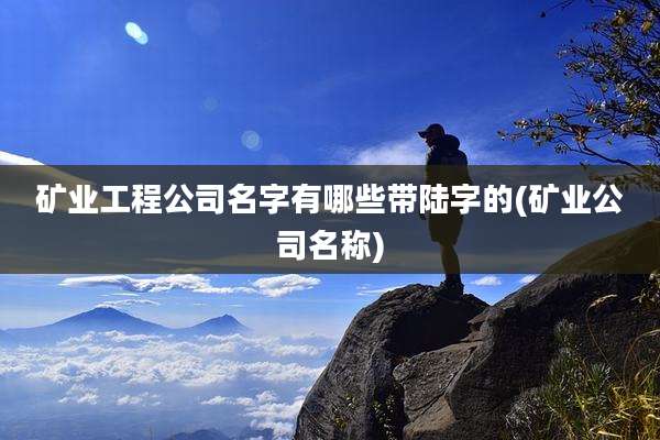 矿业工程公司名字有哪些带陆字的(矿业公司名称)