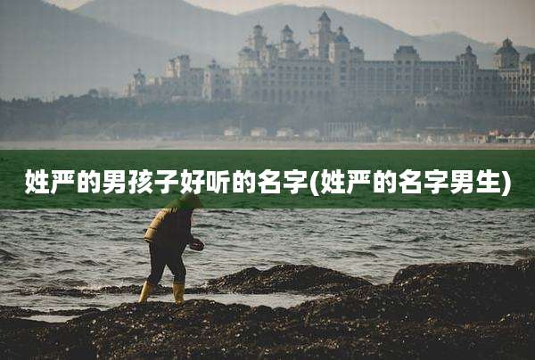 姓严的男孩子好听的名字(姓严的名字男生)
