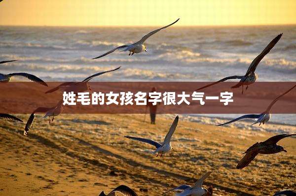 姓毛的女孩名字很大气一字