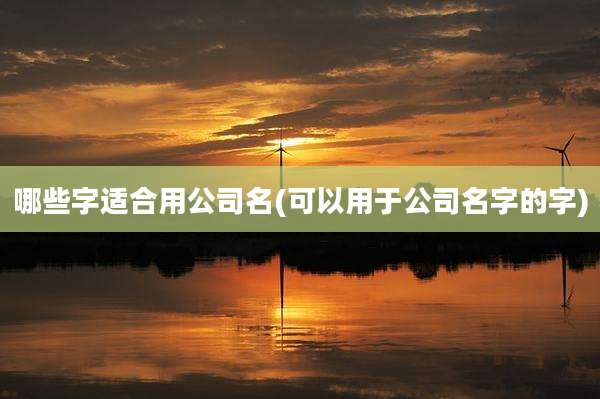 哪些字适合用公司名(可以用于公司名字的字)