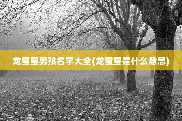 龙宝宝男孩名字大全(龙宝宝是什么意思)