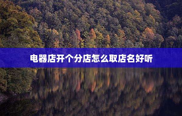 电器店开个分店怎么取店名好听