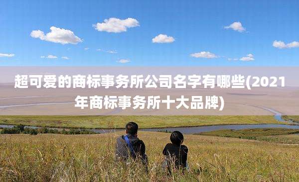 超可爱的商标事务所公司名字有哪些(2021年商标事务所十大品牌)
