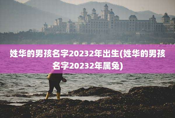 姓华的男孩名字20232年出生(姓华的男孩名字20232年属兔)