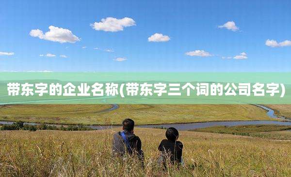 带东字的企业名称(带东字三个词的公司名字)