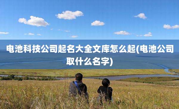 电池科技公司起名大全文库怎么起(电池公司取什么名字)