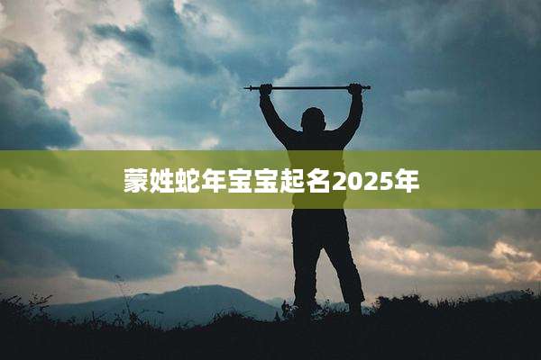 蒙姓蛇年宝宝起名2025年