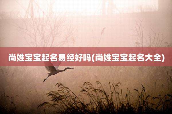 尚姓宝宝起名易经好吗(尚姓宝宝起名大全)