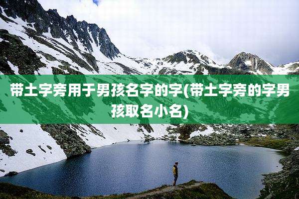 带土字旁用于男孩名字的字(带土字旁的字男孩取名小名)