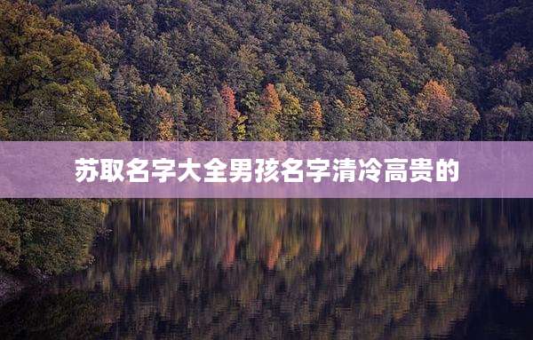 苏取名字大全男孩名字清冷高贵的