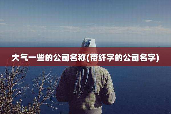 大气一些的公司名称(带纤字的公司名字)