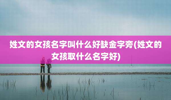 姓文的女孩名字叫什么好缺金字旁(姓文的女孩取什么名字好)