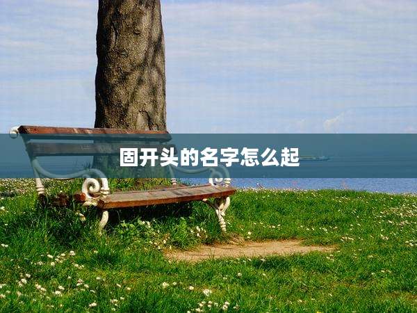 固开头的名字怎么起