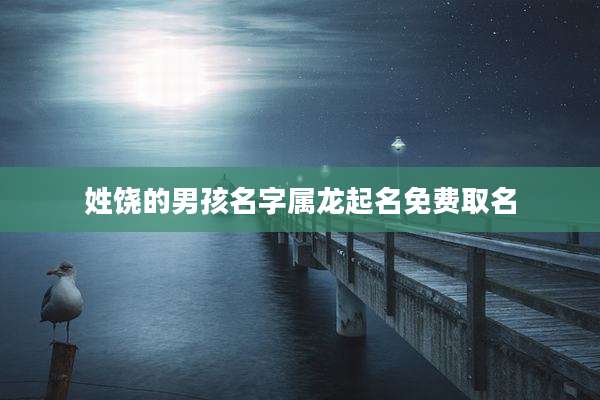 姓饶的男孩名字属龙起名免费取名