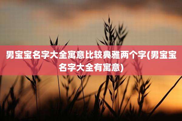 男宝宝名字大全寓意比较典雅两个字(男宝宝名字大全有寓意)