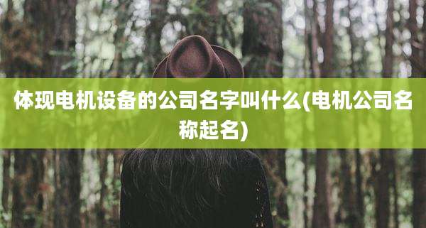 体现电机设备的公司名字叫什么(电机公司名称起名)