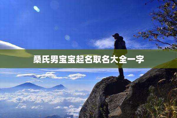 桑氏男宝宝起名取名大全一字