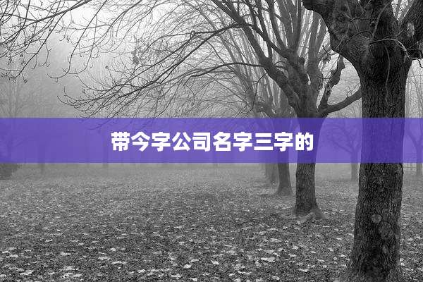 带今字公司名字三字的