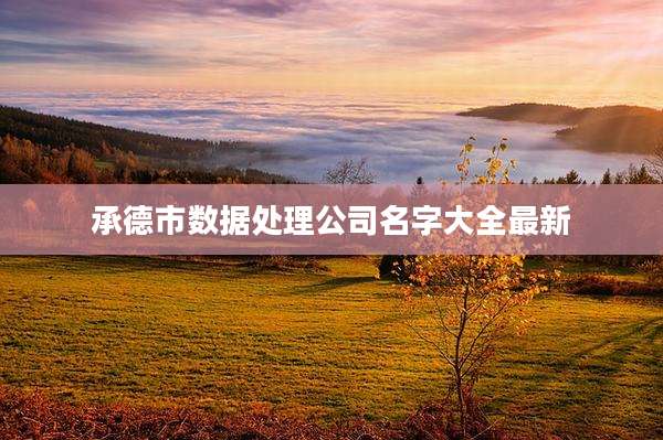 承德市数据处理公司名字大全最新