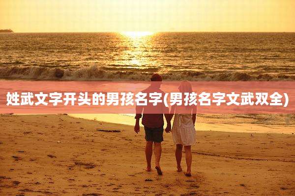姓武文字开头的男孩名字(男孩名字文武双全)