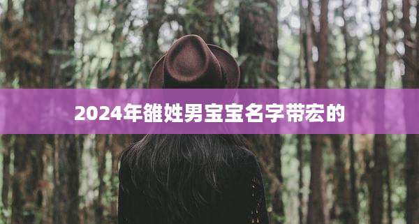 2024年雒姓男宝宝名字带宏的