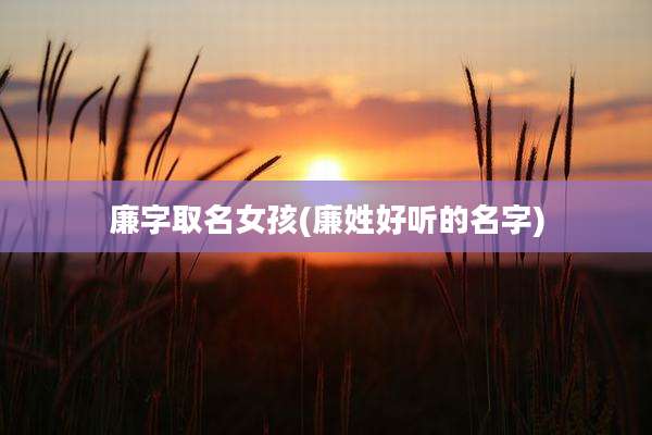 廉字取名女孩(廉姓好听的名字)