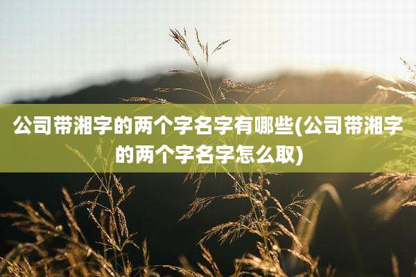 公司带湘字的两个字名字有哪些(公司带湘字的两个字名字怎么取)
