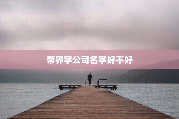 带界字公司名字好不好