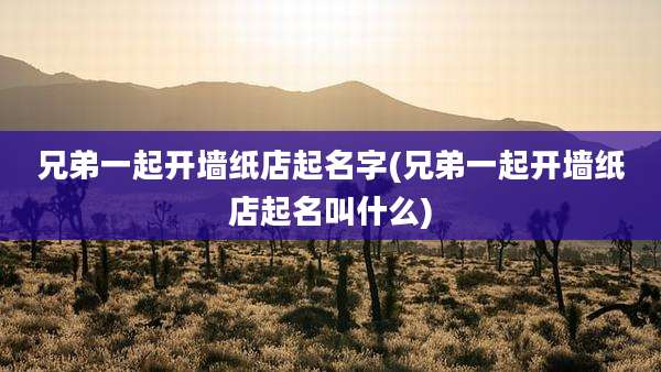 兄弟一起开墙纸店起名字(兄弟一起开墙纸店起名叫什么)
