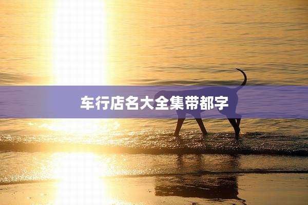 车行店名大全集带都字
